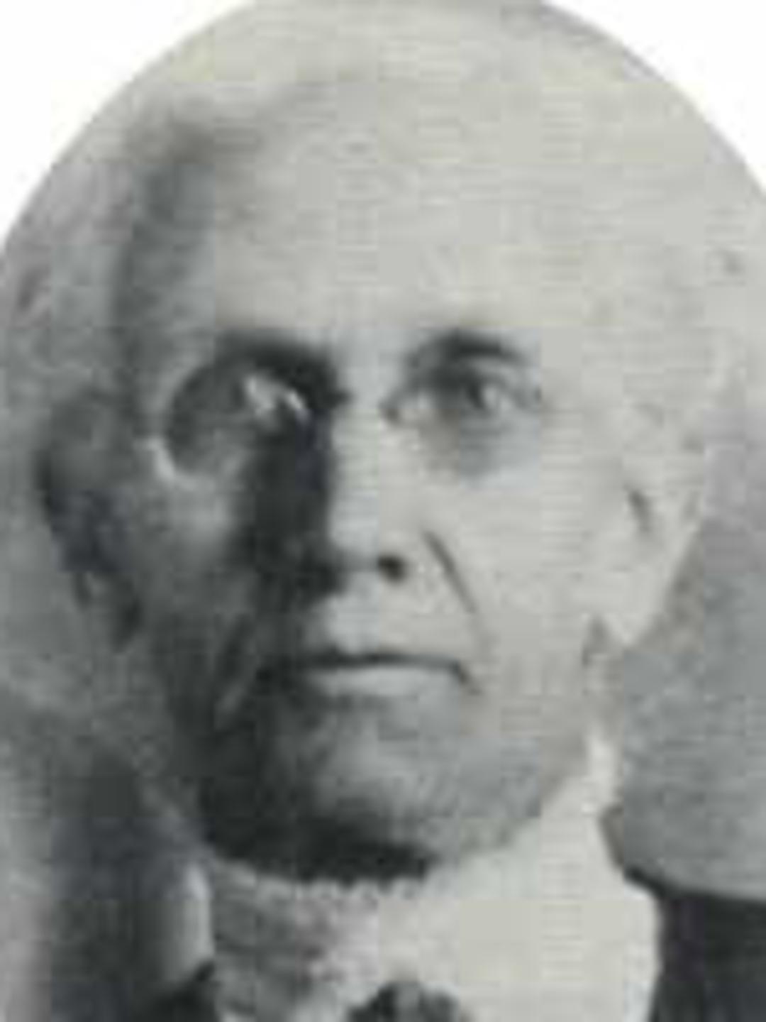 Agnes Eliza Heyborne (1846 - 1932) Profile